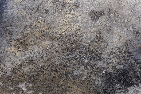 湿ったほこりっぽいアスファルトの質感 — ストック写真