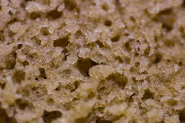 Makro fotoğrafçılıkta ekmek