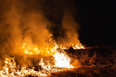 Baharda geceleri bir tarlada yanan otlar.