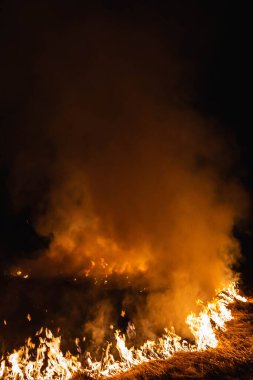Baharda geceleri bir tarlada yanan otlar.
