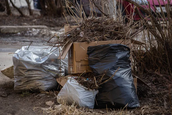 春のゴミ収集 — ストック写真