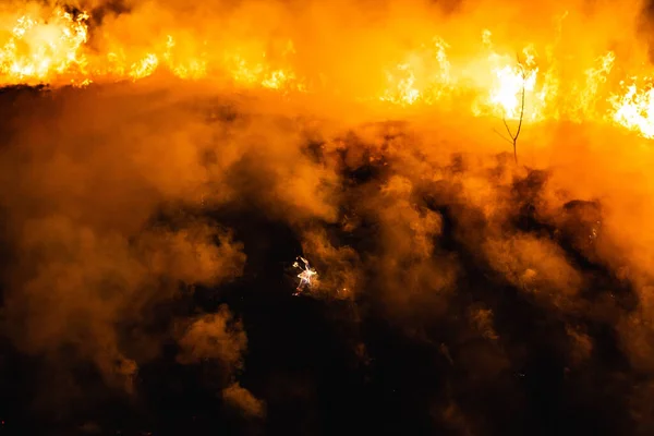 Erba Bruciante Campo Notte Primavera — Foto Stock