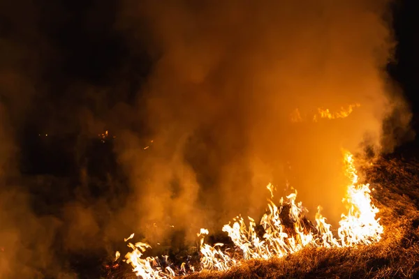 Frühling Nachts Gras Auf Einem Feld Verbrennen — Stockfoto