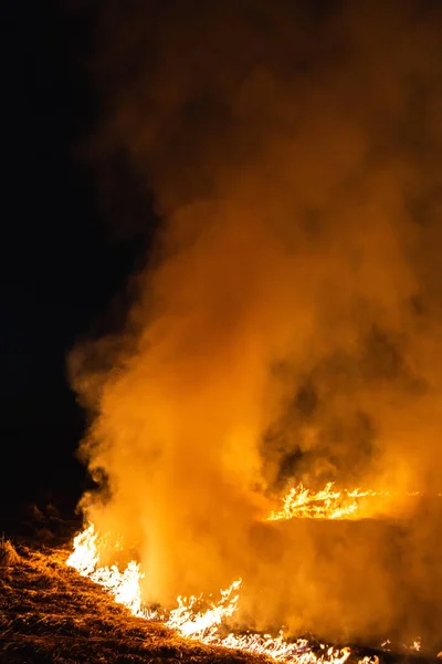 Burning Grass Field Night Spring — Stock Photo, Image