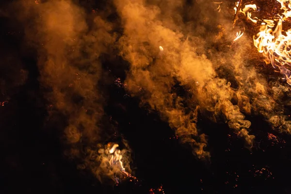 Erba Bruciante Campo Notte Primavera — Foto Stock