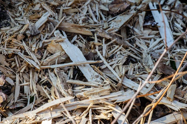 Texture Wood Chips Ground — Stock Photo, Image