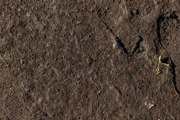 Textura Molhada Solo Com Marcas Sapatos — Fotografia de Stock