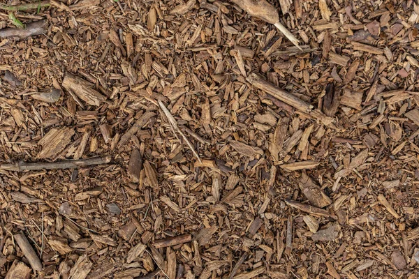 Texture Wood Rot Ground — Stock Photo, Image