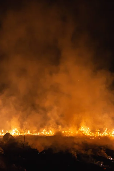 Queimando Grama Campo Noite Primavera Imagens De Bancos De Imagens