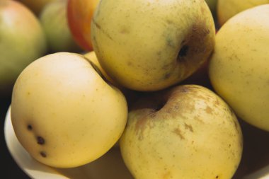 Taze yeşil elmalara yakın çekim