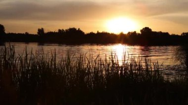 Yazın Haziran ayında Kiev bölgesinin Ukrayna 'daki nehirde gün batımı. Doğal ses. 