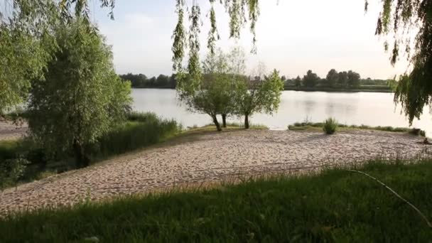 Paysage avec arbres tombés et herbe près de la rivière. Nature estonienne sur la rivière nommée. Ukraine
