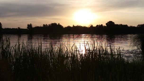 Sonnenuntergang Fluss Der Ukraine Region Kiew Juni Des Sommers Natürlicher — Stockvideo