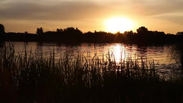 Puesta Sol Río Ucrania Región Kiev Junio Del Verano Sonido — Vídeo de stock