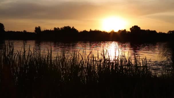 Sonnenuntergang Fluss Der Ukraine Region Kiew Juni Des Sommers Natürlicher — Stockvideo