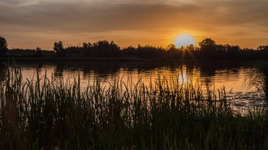 Ağaç siluetleriyle nehir doğasında güzel bir günbatımı. Yaz günü