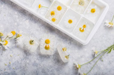 İçinde papatya çiçeği olan buz küpleri. İlkbahar sembolizmi
