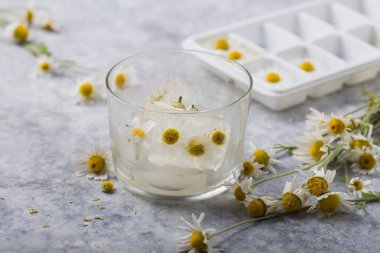 İçinde papatya çiçeği olan buz küpleri. İlkbahar sembolizmi