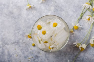 İçinde papatya çiçeği olan buz küpleri. İlkbahar sembolizmi