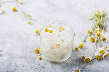 İçinde papatya çiçeği olan buz küpleri. İlkbahar sembolizmi