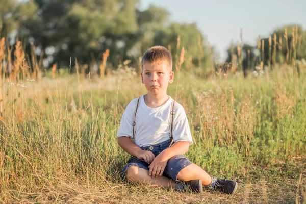 かわいい男の子5歳の日没時にフィールドを歩く 小さな公正な髪の少年の肖像画 — ストック写真