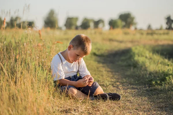 かわいい男の子5歳の日没時にフィールドを歩く 小さな公正な髪の少年の肖像画 — ストック写真
