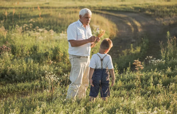 Mutlu Büyükbaba Torun Yaz Otlağında Yürüyor Şirin Çocuk Yaşlı Dedesine — Stok fotoğraf