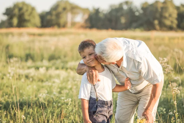 Aile Nesil Iletişim Insan Konsepti Mutlu Büyükbaba Torun Yaz Otlaklarında — Stok fotoğraf