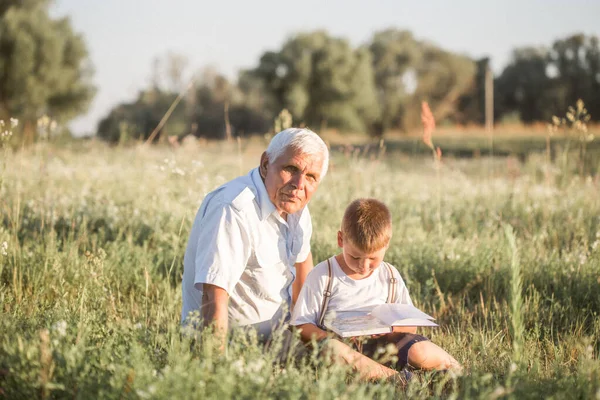 Medio Disparo Del Abuelo Nieto Mientras Leían Libro Juntos Prado —  Fotos de Stock