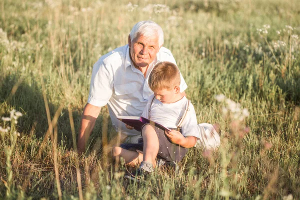 Büyükbaba Torununun Meadow Kitap Okurken Çekilmiş Bir Fotoğrafı Küçük Çocuk — Stok fotoğraf
