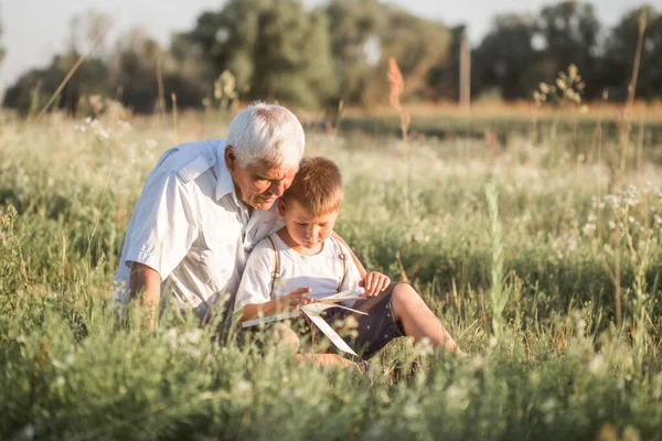 Büyükbaba Torununun Meadow Kitap Okurken Çekilmiş Bir Fotoğrafı Küçük Çocuk — Stok fotoğraf