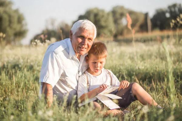 Büyükbaba Torununun Meadow Kitap Okurken Çekilmiş Bir Fotoğrafı Küçük Çocuk — Stok fotoğraf