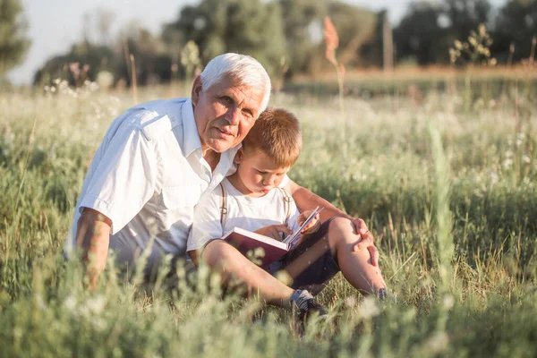 Büyükbaba Torununun Meadow Kitap Okurken Çekilmiş Bir Fotoğrafı Küçük Çocuk — Stok fotoğraf