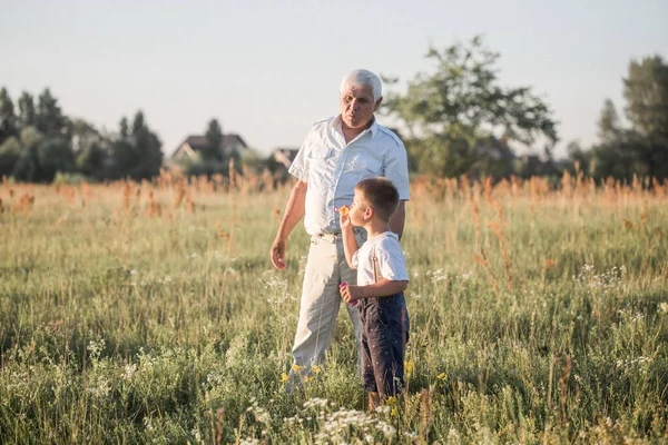 Feliz Avô Mais Velho Com Neto Menino Bonito Jogando Campo — Fotografia de Stock