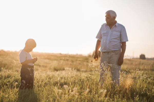 Sahada Oynayan Tatlı Bir Torunu Olan Mutlu Bir Büyükbaba Mutlu — Stok fotoğraf
