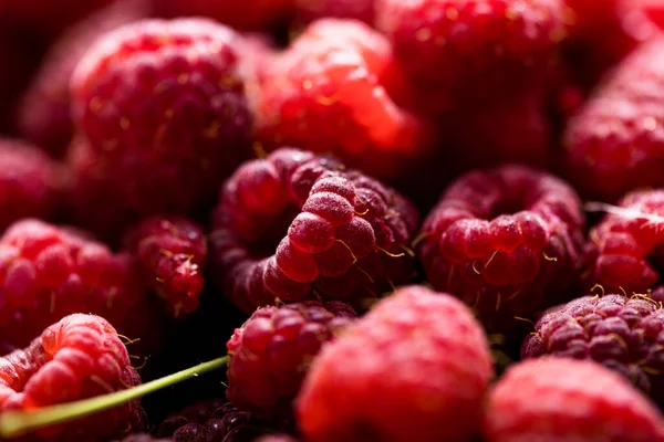 Čerstvé Sladké Červené Maliny Textury Ovoce Hromada Pozadí — Stock fotografie