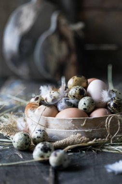 Ahşap bir arka planda çok renkli kuş yumurtaları çeşitliliği. Tavuk ve bıldırcın yumurtası.