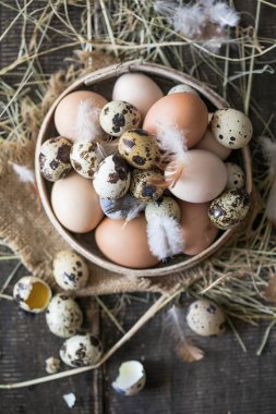 Ahşap bir arka planda çok renkli kuş yumurtaları çeşitliliği. Tavuk ve bıldırcın yumurtası.