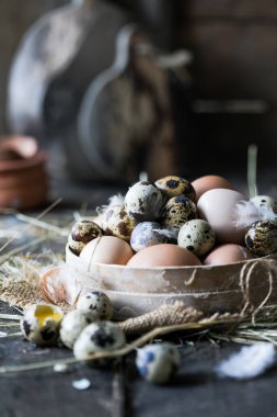 Ahşap bir arka planda çok renkli kuş yumurtaları çeşitliliği. Tavuk ve bıldırcın yumurtası.