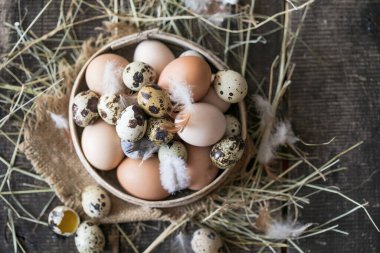 Ahşap bir arka planda çok renkli kuş yumurtaları çeşitliliği. Tavuk ve bıldırcın yumurtası.
