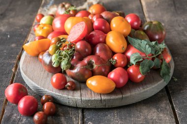 Çeşitli domates hasadı. Organik yeşil, kırmızı, sarı, turuncu domatesler.