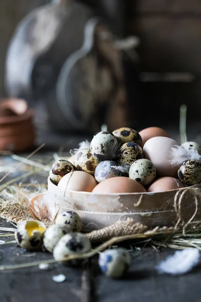 Ahşap bir arka planda çok renkli kuş yumurtaları çeşitliliği. Tavuk ve bıldırcın yumurtası.