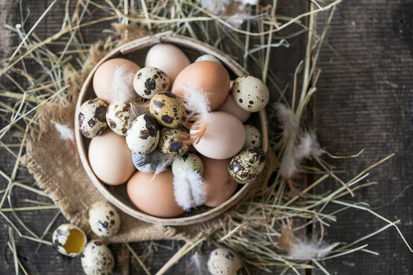 Ahşap bir arka planda çok renkli kuş yumurtaları çeşitliliği. Tavuk ve bıldırcın yumurtası.