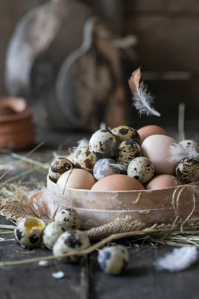 Ahşap bir arka planda çok renkli kuş yumurtaları çeşitliliği. Tavuk ve bıldırcın yumurtası.