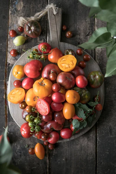 Çeşitli domates hasadı. Organik yeşil, kırmızı, sarı, turuncu domatesler.