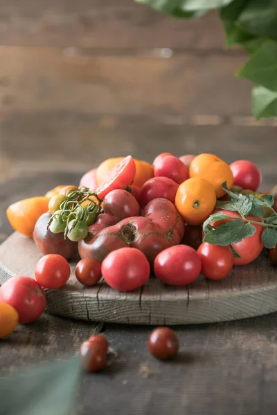 Colheita Tomates Variados Tomates Verdes Orgânicos Vermelhos Amarelos Laranja — Fotografia de Stock
