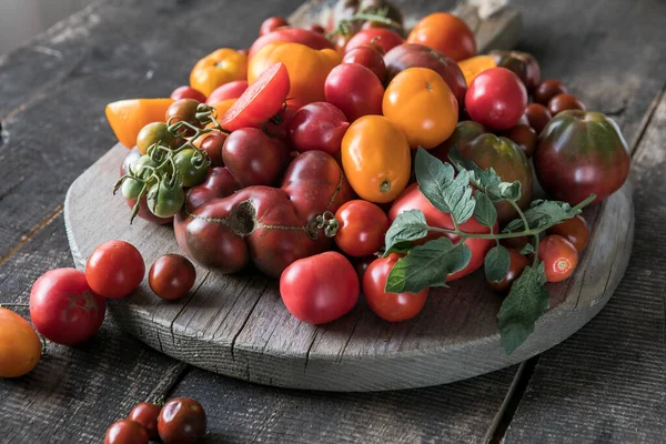 Raccolta Pomodori Assortiti Pomodori Verdi Rossi Gialli Arancioni Biologici — Foto Stock