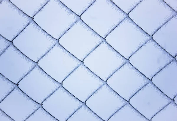 Vzor Mřížky Pokrytý Mrazem — Stock fotografie