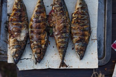 Limon ve baharatla kızartılmış mis kokulu uskumru.