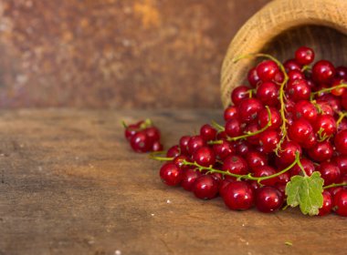 Dağınık kırmızı üzümler. Hasat et. Vitaminler. Sağlıklı yiyecekler. Küçük kovadan dökülen meyveler.